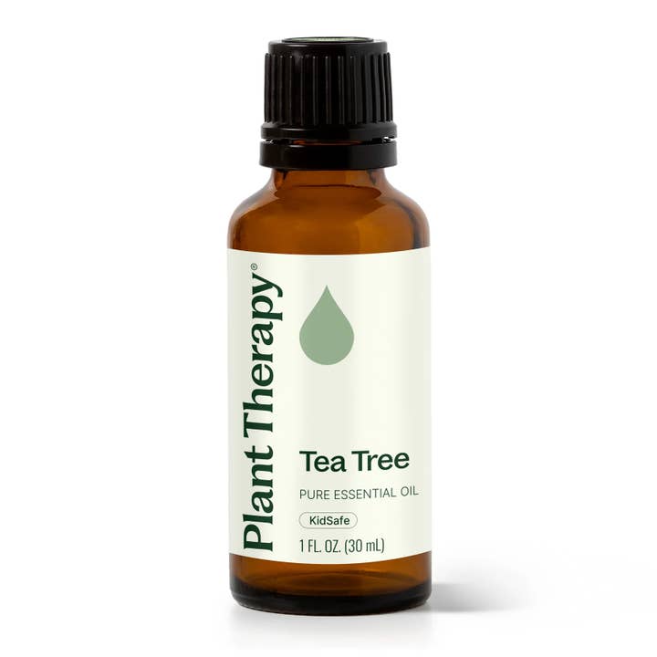 Huile essentielle d’arbre à thé 30 ml pour la vente par Plant Therapy