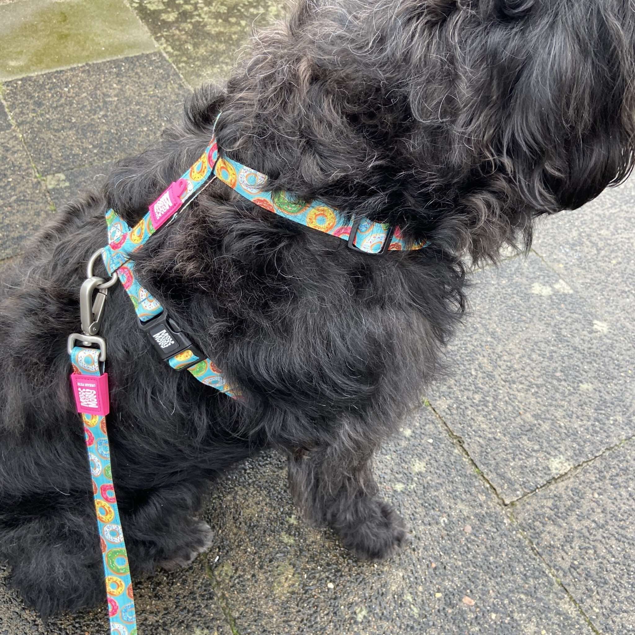 Max & Molly - Wholesale Pet Harness - Dog - Dog H-Harness - Donuts5