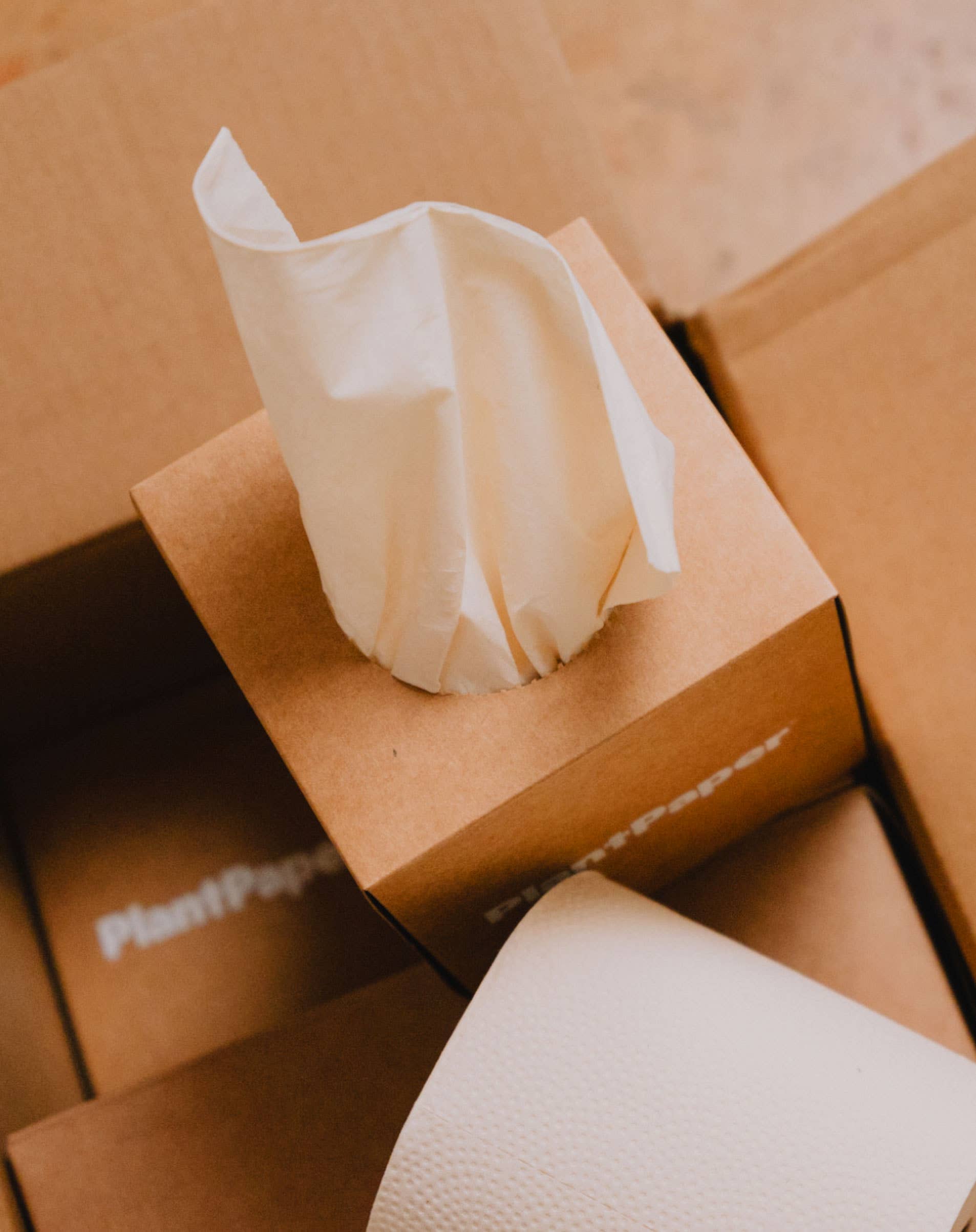 PlantPaper - Vente Boîtes à mouchoirs - Mouchoirs en bambou non blanchis, 3 épaisseurs - 96 par caisse1