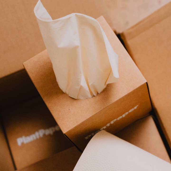 PlantPaper - Vente Boîtes à mouchoirs - Mouchoirs en bambou non blanchis, 3 épaisseurs - 96 par caisse1