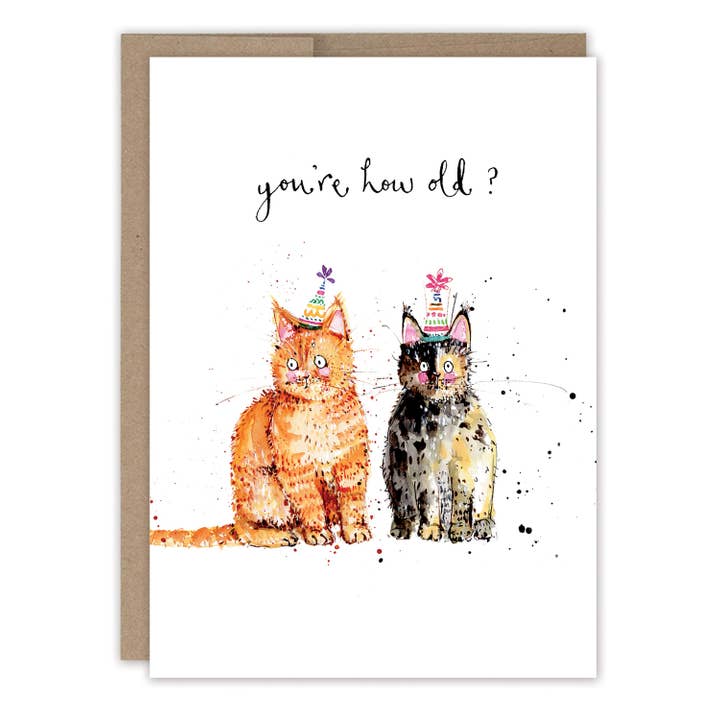 Biely & Shoaf - Wholesale Birthday Card - Cats You're How Old? Birthday Card