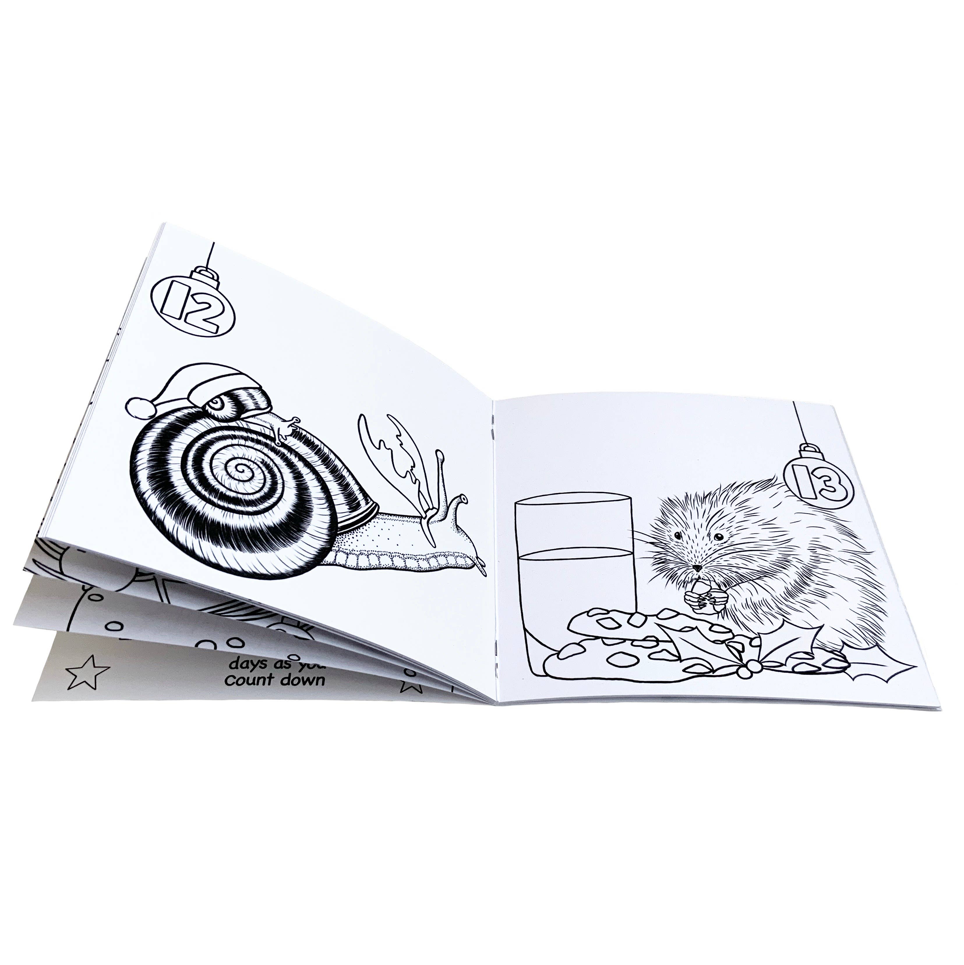 Wild Lines - Wholesale Coloring & Activity Book - Kids & Baby - Wild Advent Colouring Book - Kids Advent Calendar Activity5