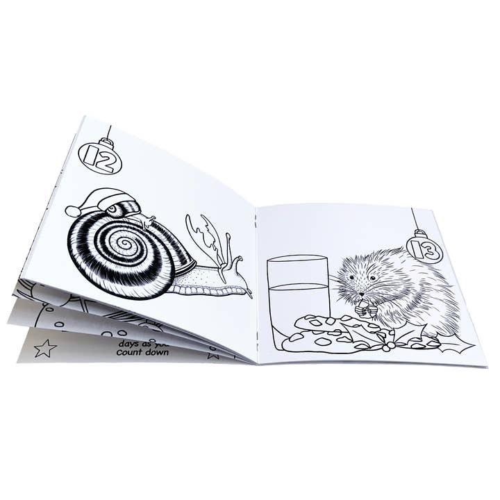 Wild Lines - Wholesale Coloring & Activity Book - Kids & Baby - Wild Advent Colouring Book - Kids Advent Calendar Activity5