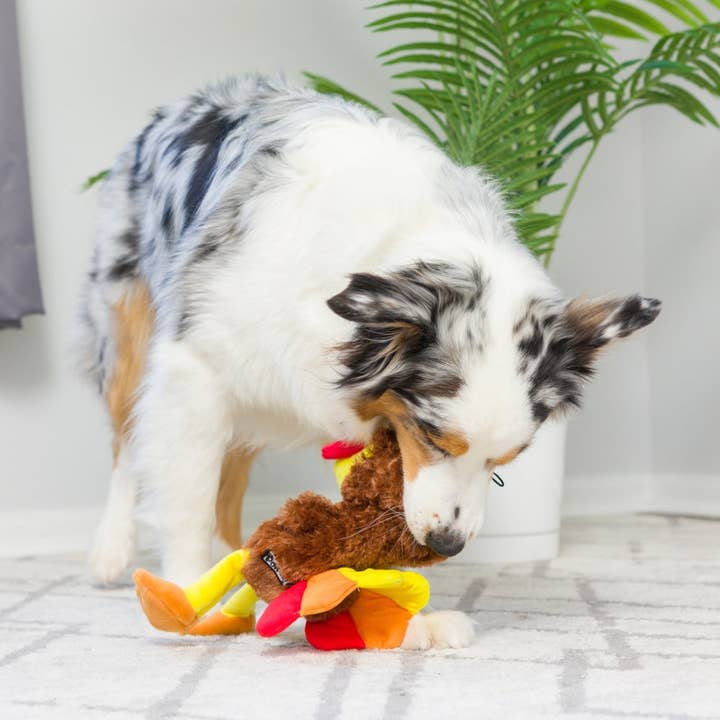 Huxley & Kent – wholesale Pet plush toy – Dog – Slappies® Wishbone Turkey Dog Toy