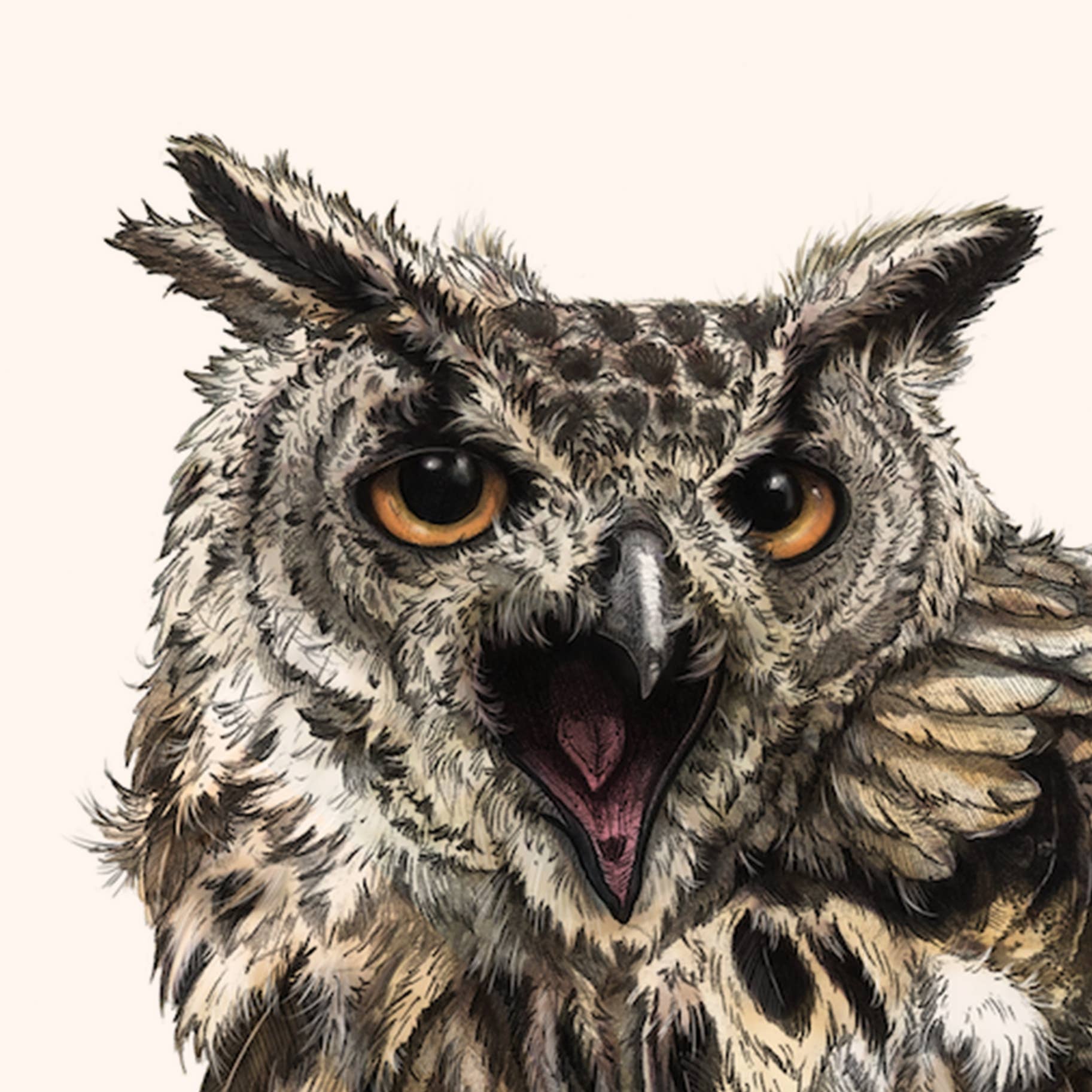 Hidden Planet - Wholesale Art Print - African Eagle Owl - A4 Print (landscape)2