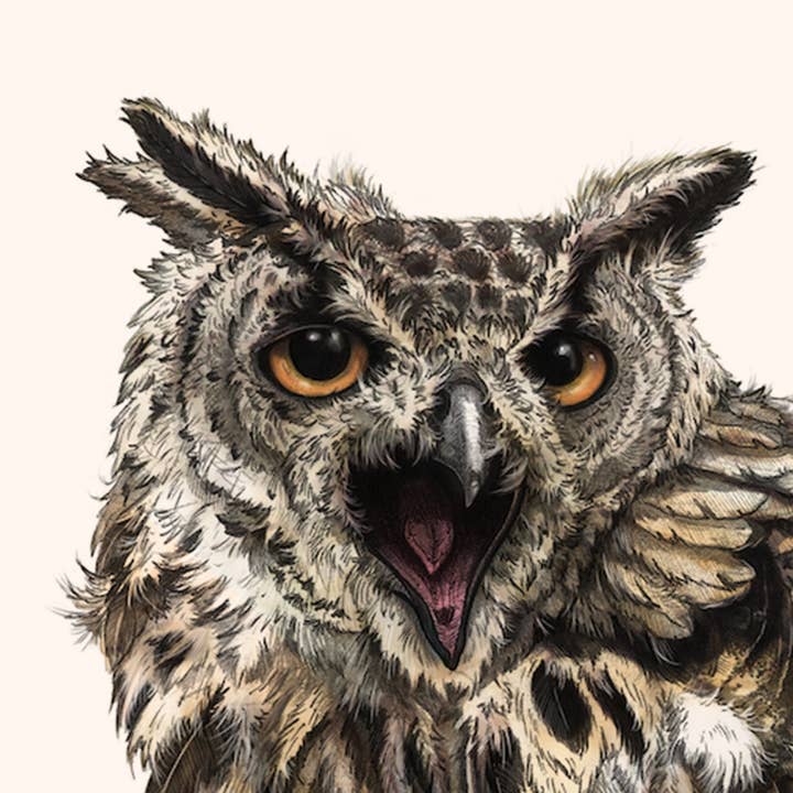 Hidden Planet - Wholesale Art Print - African Eagle Owl - A4 Print (landscape)2