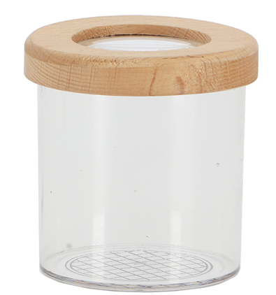 Esschert Design USA - Wholesale DIY Craft Kit - Kids - Children's Insect Study Jar2