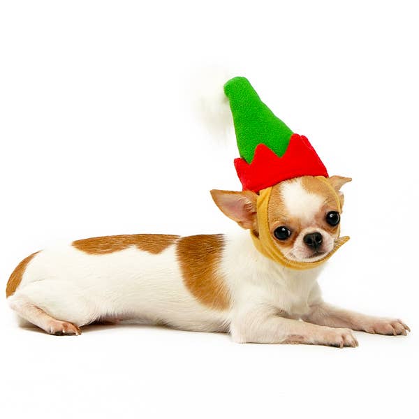 Dogo Pet - Wholesale Pet Costume - Dog - Elf Hat4