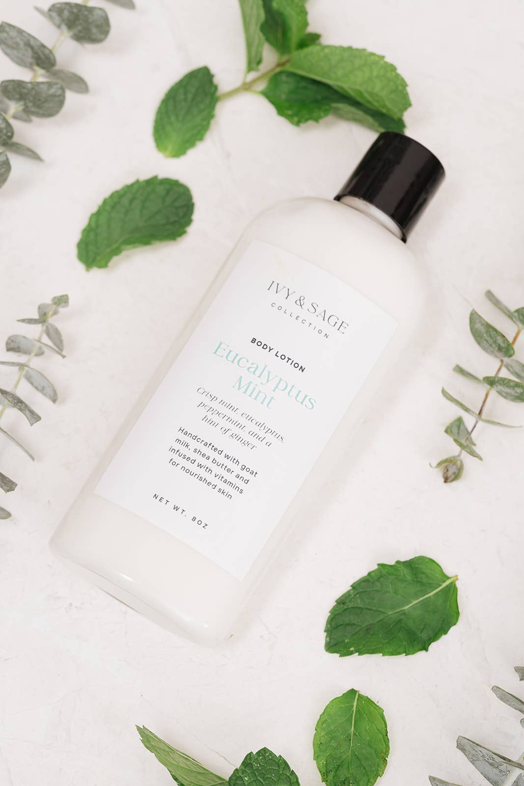 Ivy & Sage Collection - Wholesale Body Cream/Lotion - Body Lotion – Eucalyptus Mint, Hydrating & Clean1