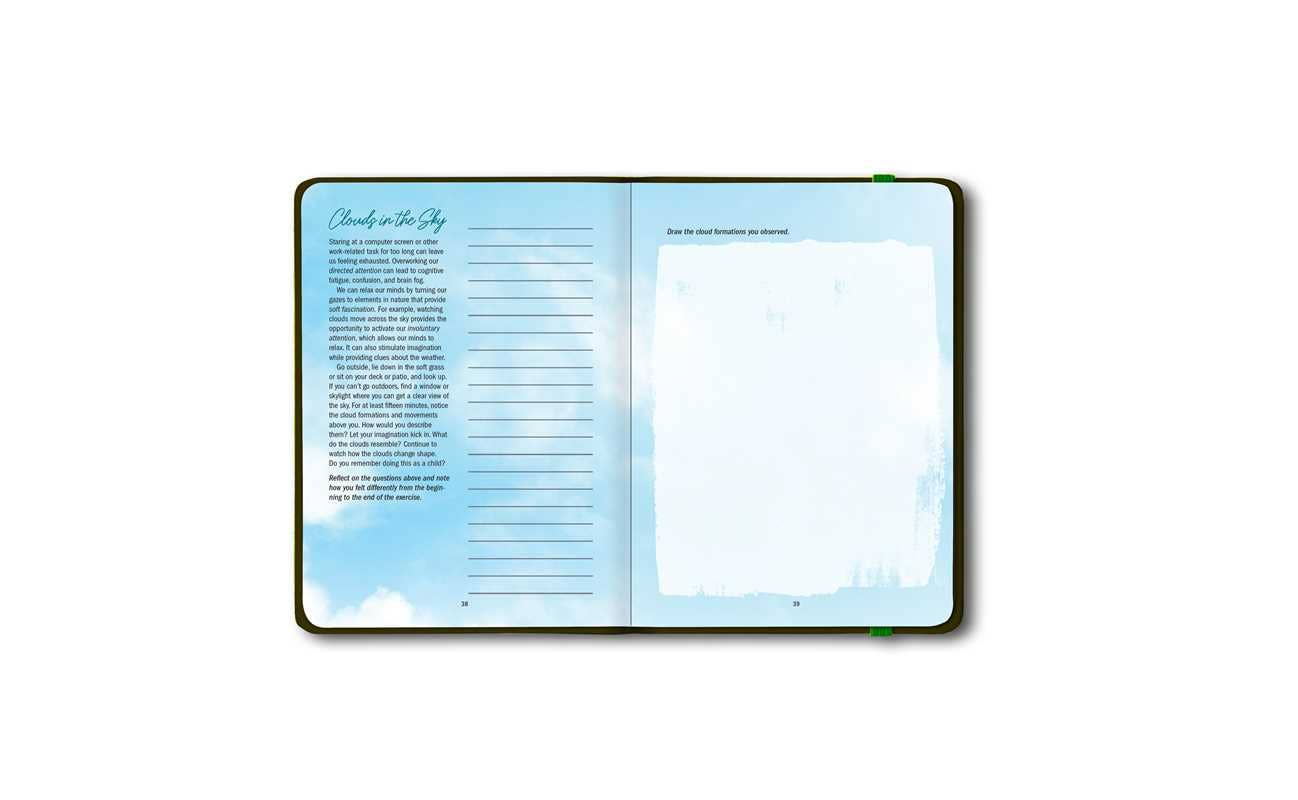 Simon & Schuster - Wholesale Journal/Diary - Grounded by Patricia H. Hasbach5