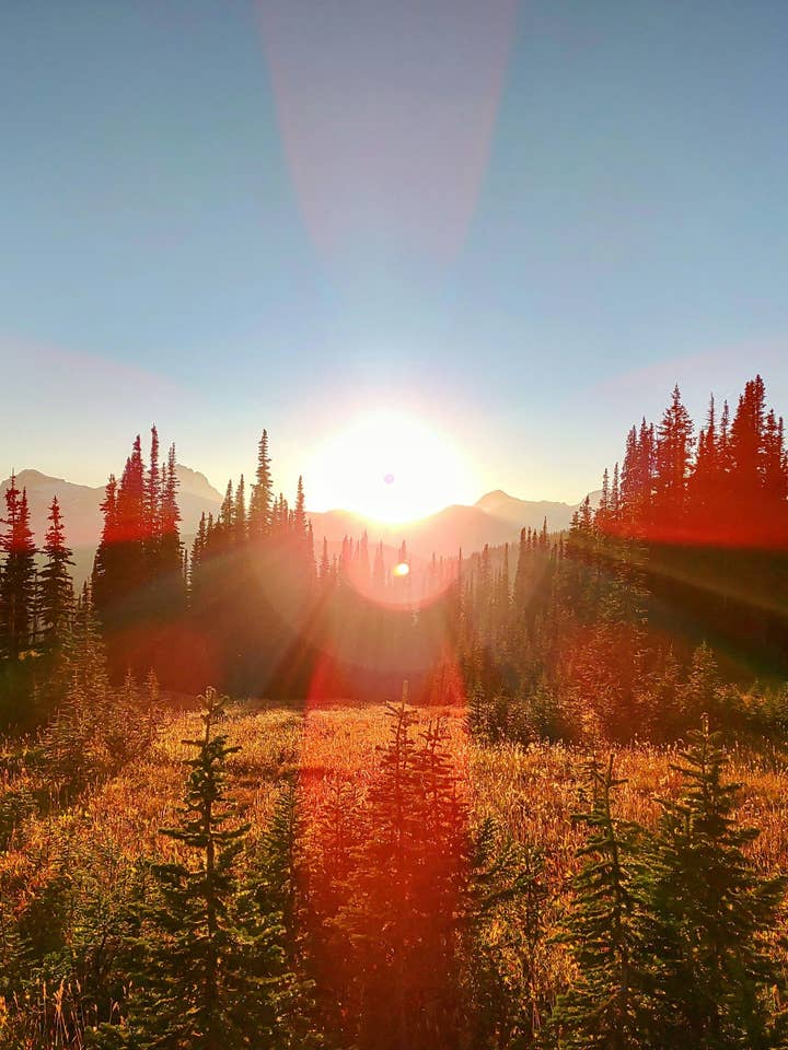 YEAR-ROUND STAPLES COLLECTION for wholesale by Copper Mountain Candle Co.