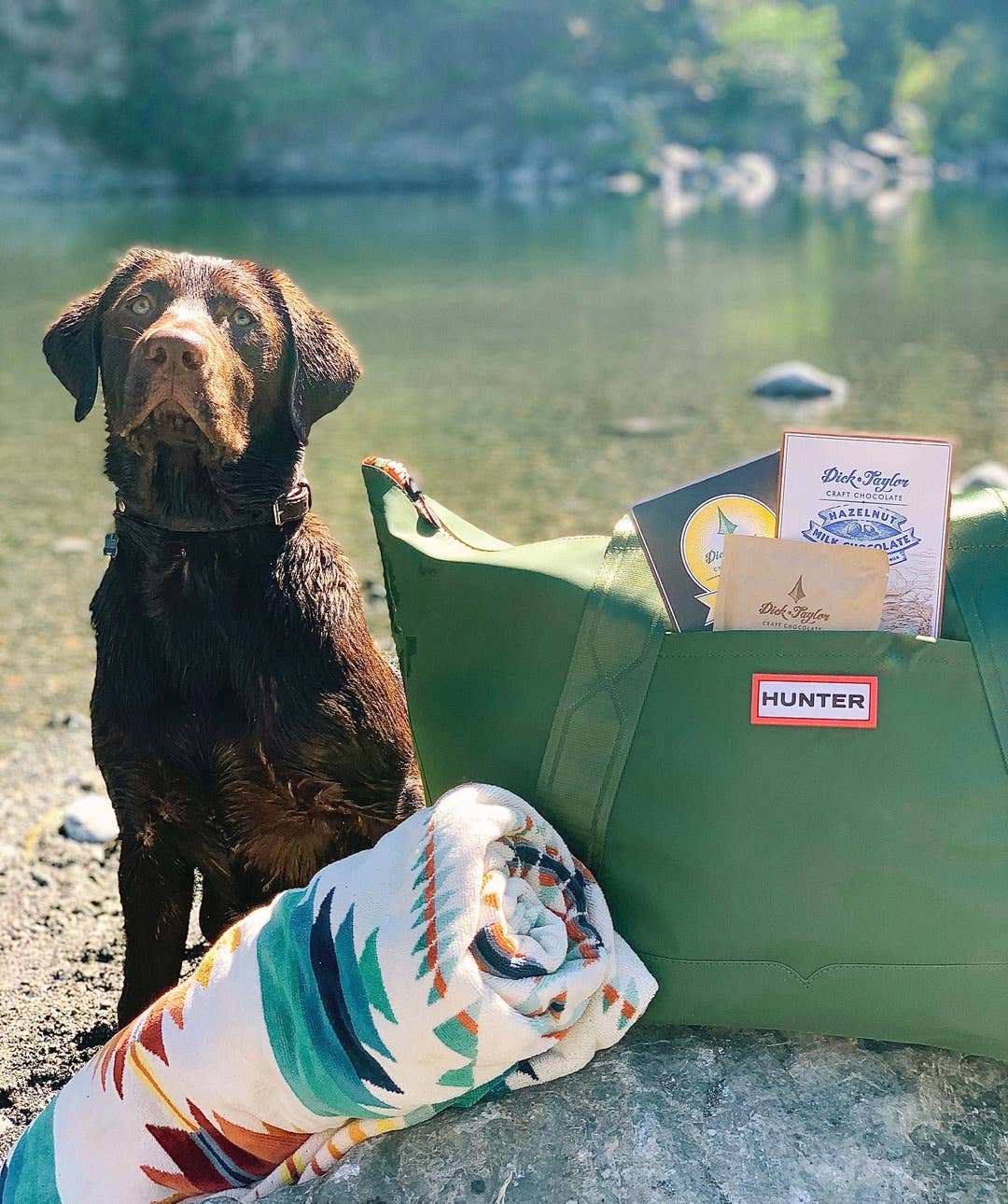 Dick Taylor Craft Chocolate - Wholesale Chocolate bar - Hazelnut Milk Chocolate4