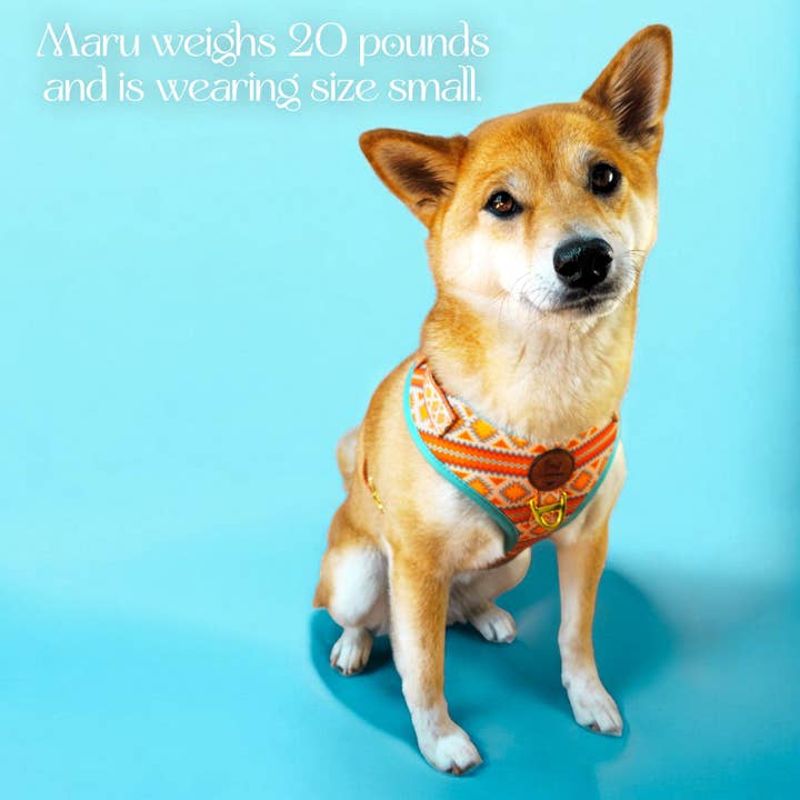 Wolfdoge – Großhandel Haustiergeschirr – Hund – Wüstentraum-Geschirr3