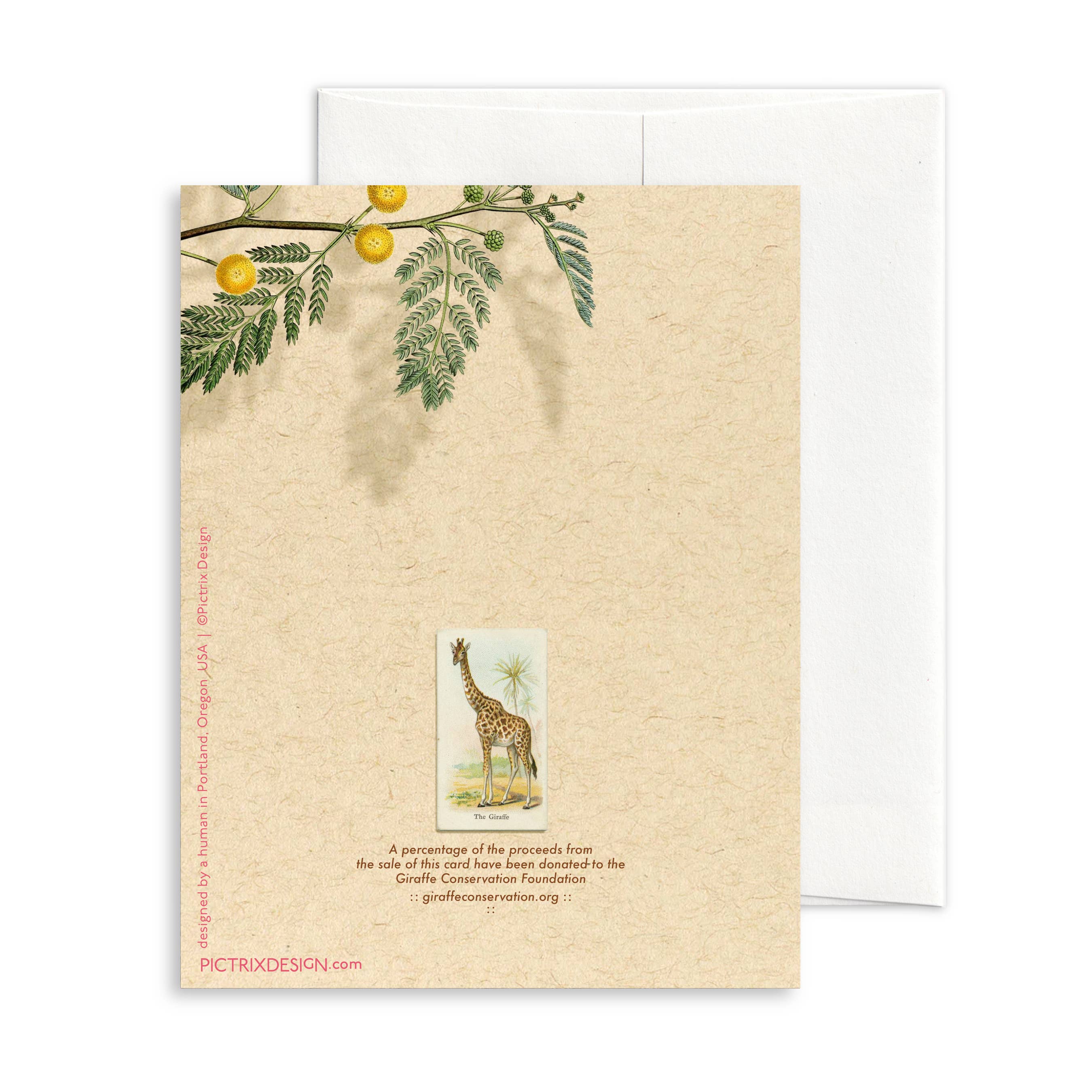 Pictrix Design - Wholesale Everyday Greeting Card - “Hi. (giraffe)" A2 greeting card1