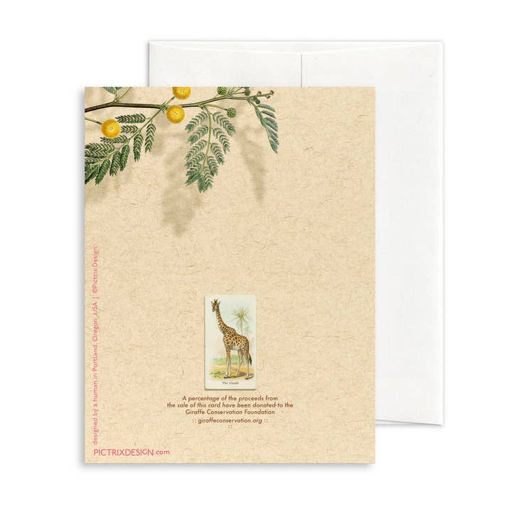 Pictrix Design - Wholesale Everyday Greeting Card - “Hi. (giraffe)" A2 greeting card1