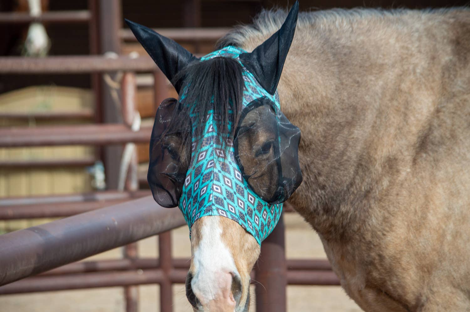 Schulz Equine - Wholesale Horseback Riding Gear - Lycra Fly Mask18