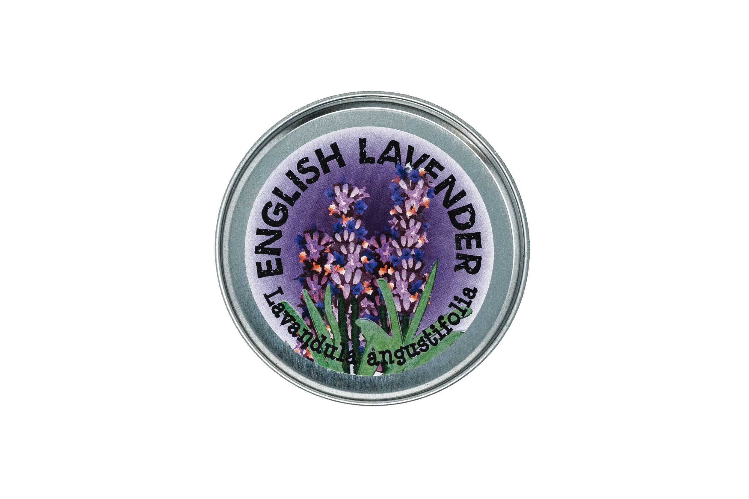 The Jonsteen Company - Wholesale Plant Seeds - Lavender | Flower Seed Grow Kit1