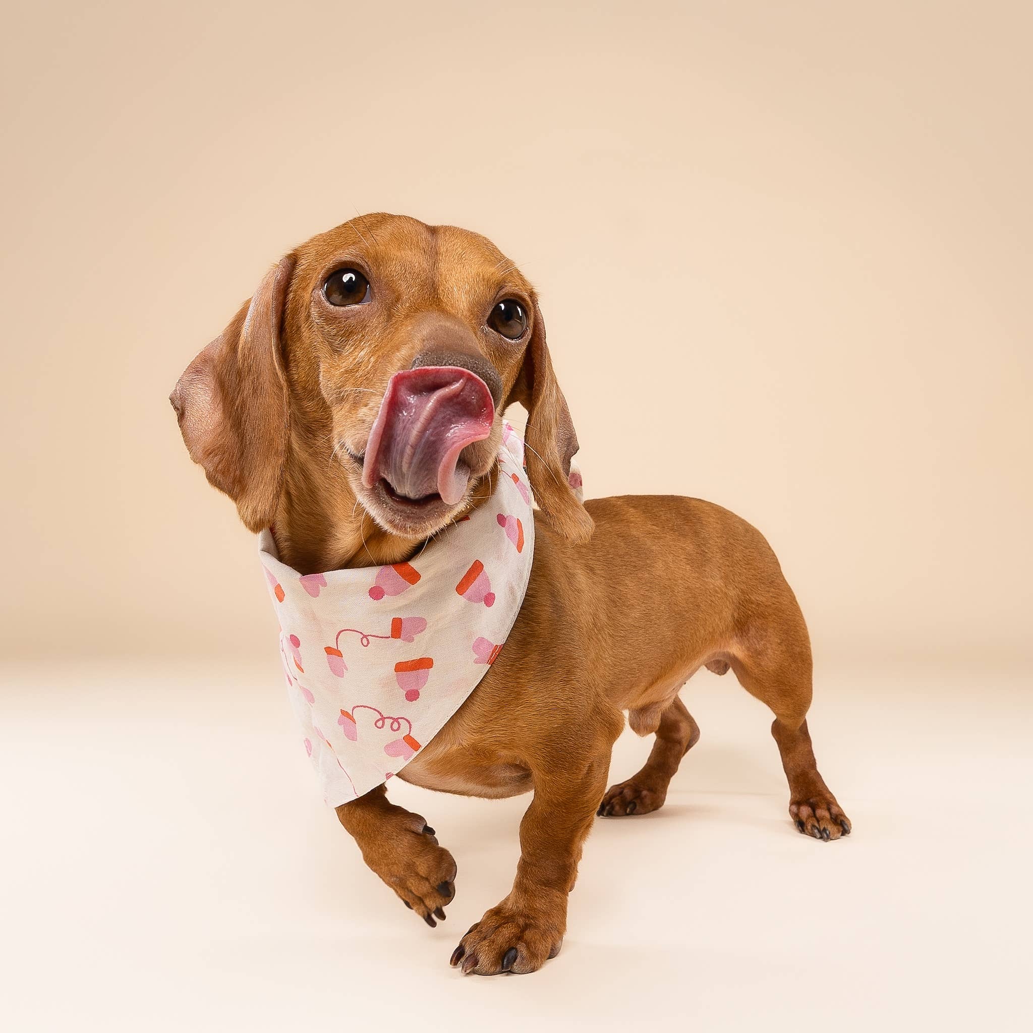 The Paws - Wholesale Pet Bandana - Dog - Mittens Winter Dog Bandana1