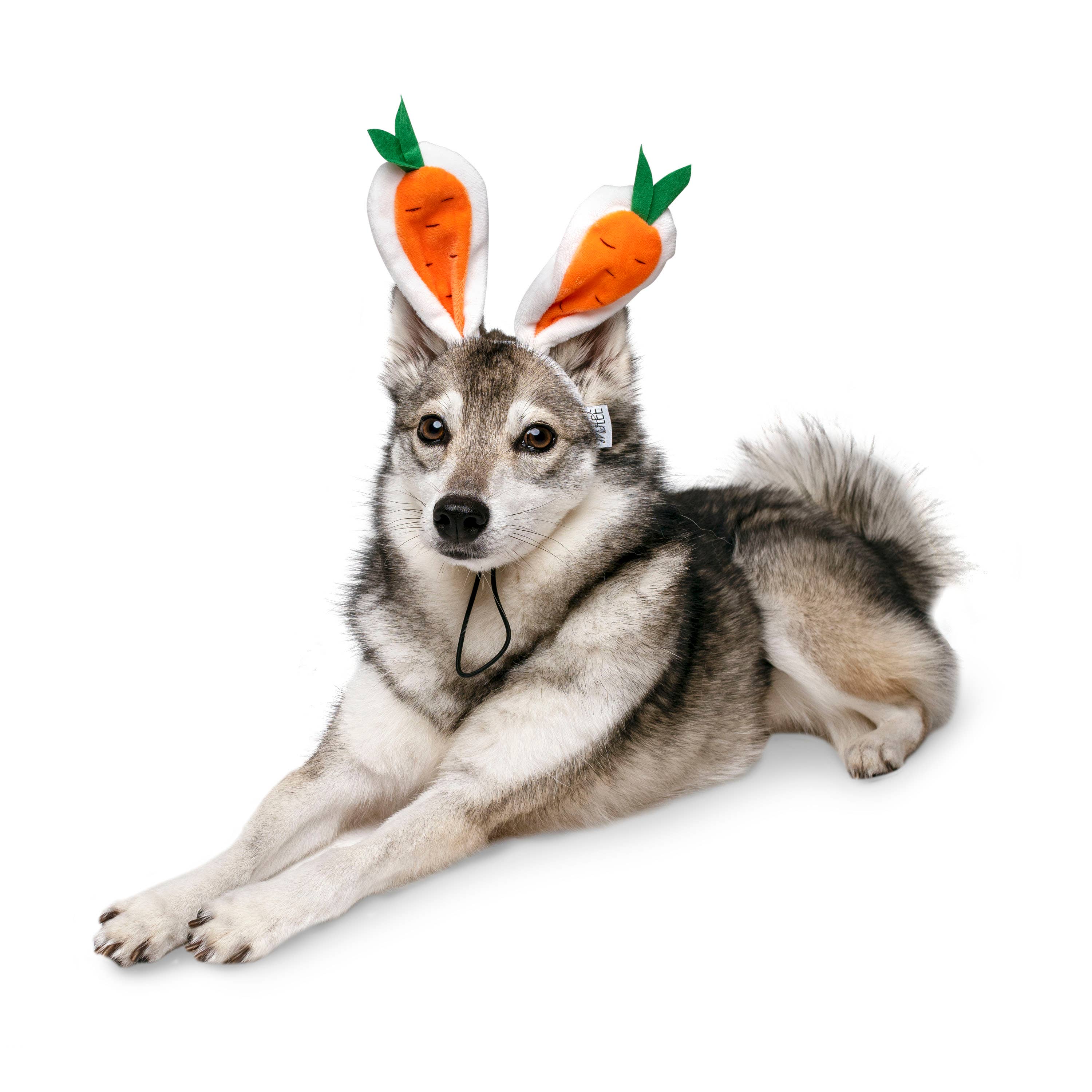 Midlee Designs - Wholesale Pet Hat - Dog - Midlee Carrot Bunny Ears Easter Dog Headband Costume1
