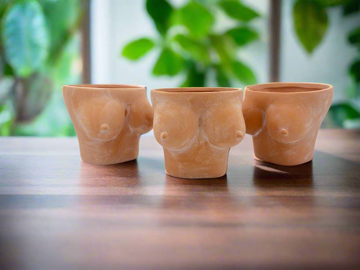 Simply Supplied Co – wholesale Kruka – Boob Kruka | Terrakotta Kruka | Roliga Bröst Kaktus Unik10
