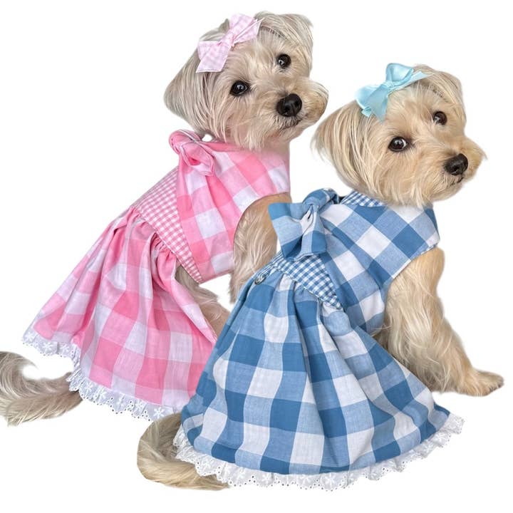 Robe de pique-nique en vichy pour la vente par Heads or Tails Pup