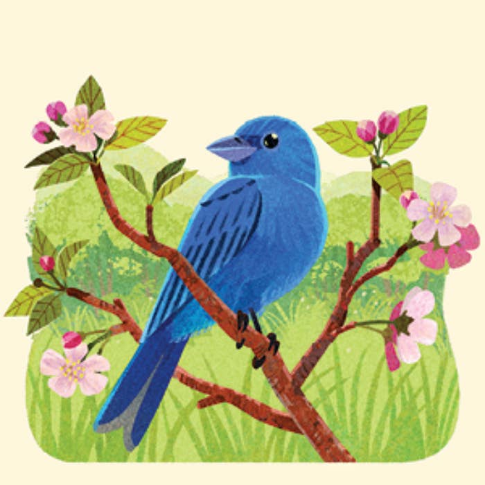 Penguin Random House LLC - Wholesale Brain Game - Kids - Animals of the NP Travel Match1