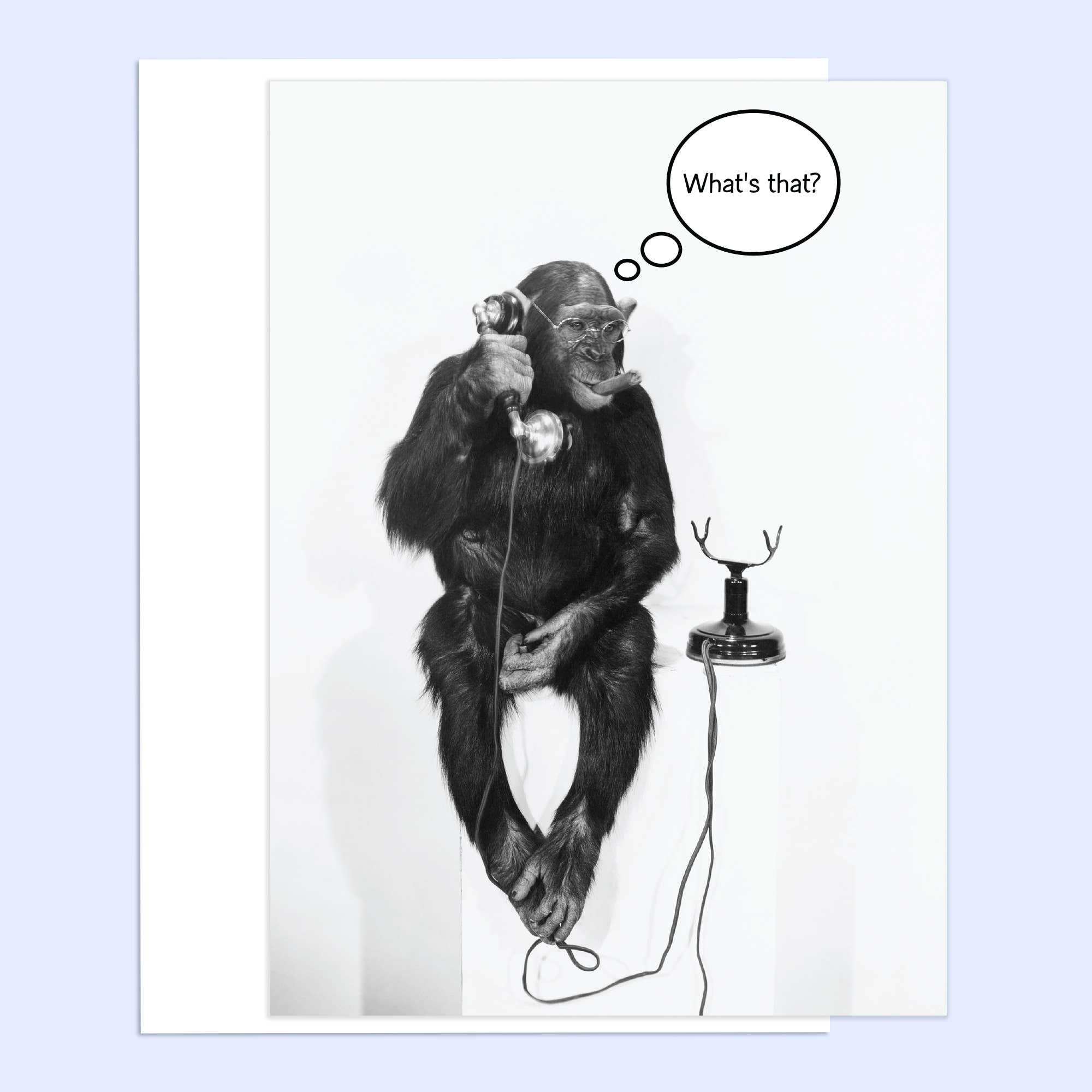 Northern Exposure - Wholesale Birthday Card - Youth Calling Happy Birthday Greeting Card0