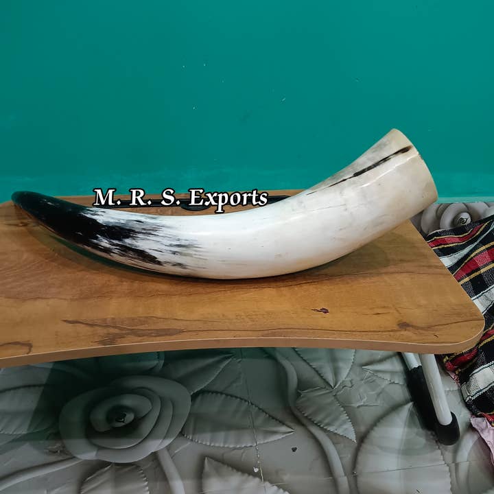 Cream High Quality Viking Drinking Horns At Affordable Prices for wholesale on Faire