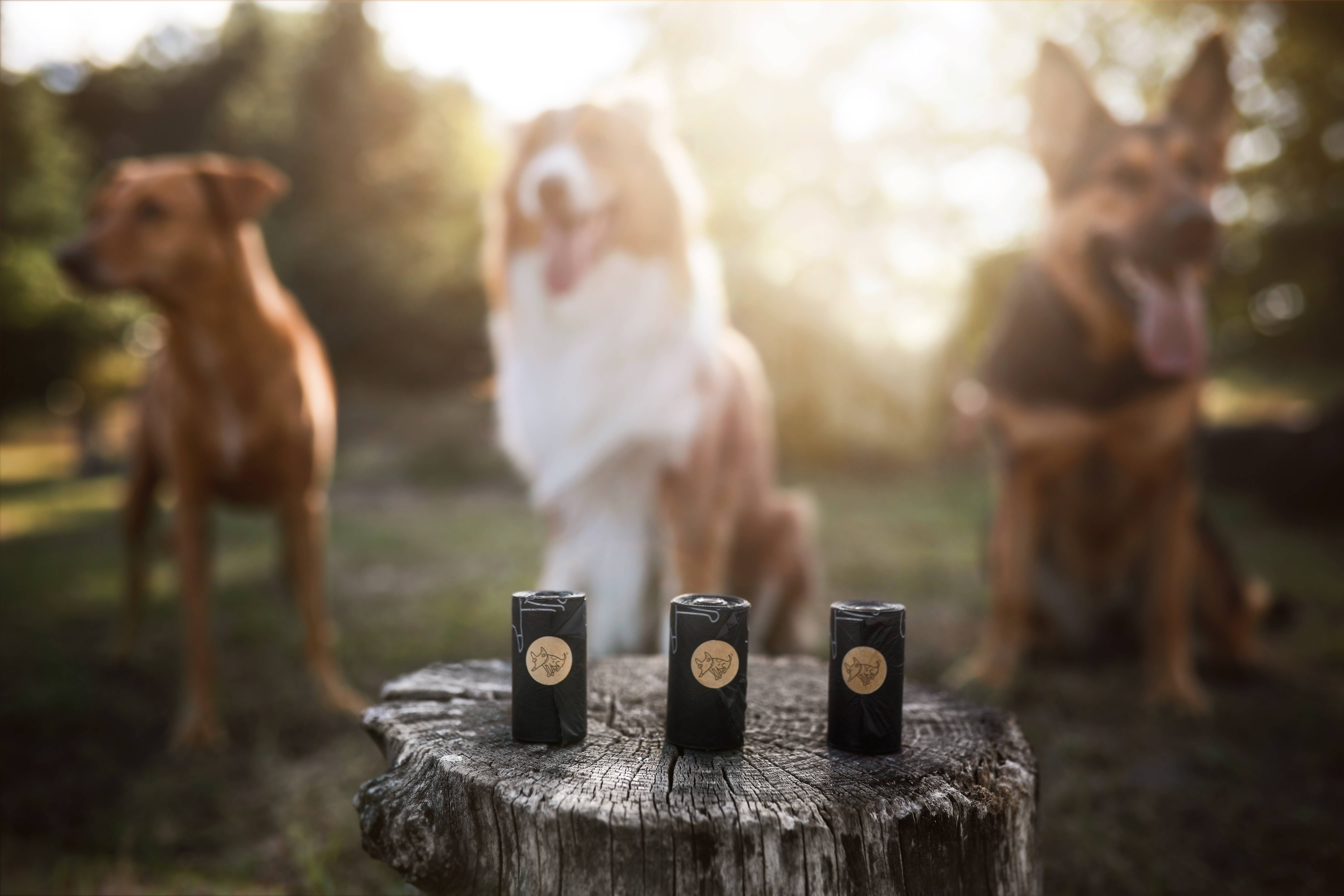 The Sustainable People - Wholesale Poepzak - Biologisch afbreekbare hondenpoepzakken zonder handvatten (120 zakken per doos)11