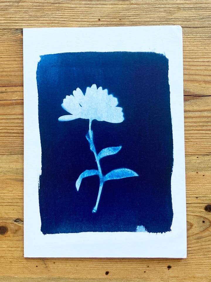 Tarjeta de felicitación azul botánica «Caléndula» para venta al por mayor de Made By McDuff