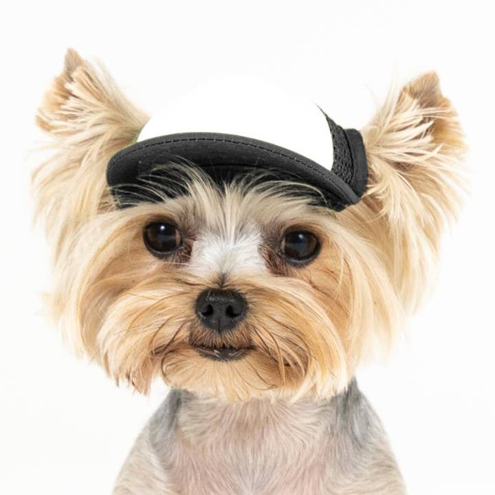 PupLid - Wholesale Pet Hat - Dog - Blank Foam | Trucker Hat for Dogs