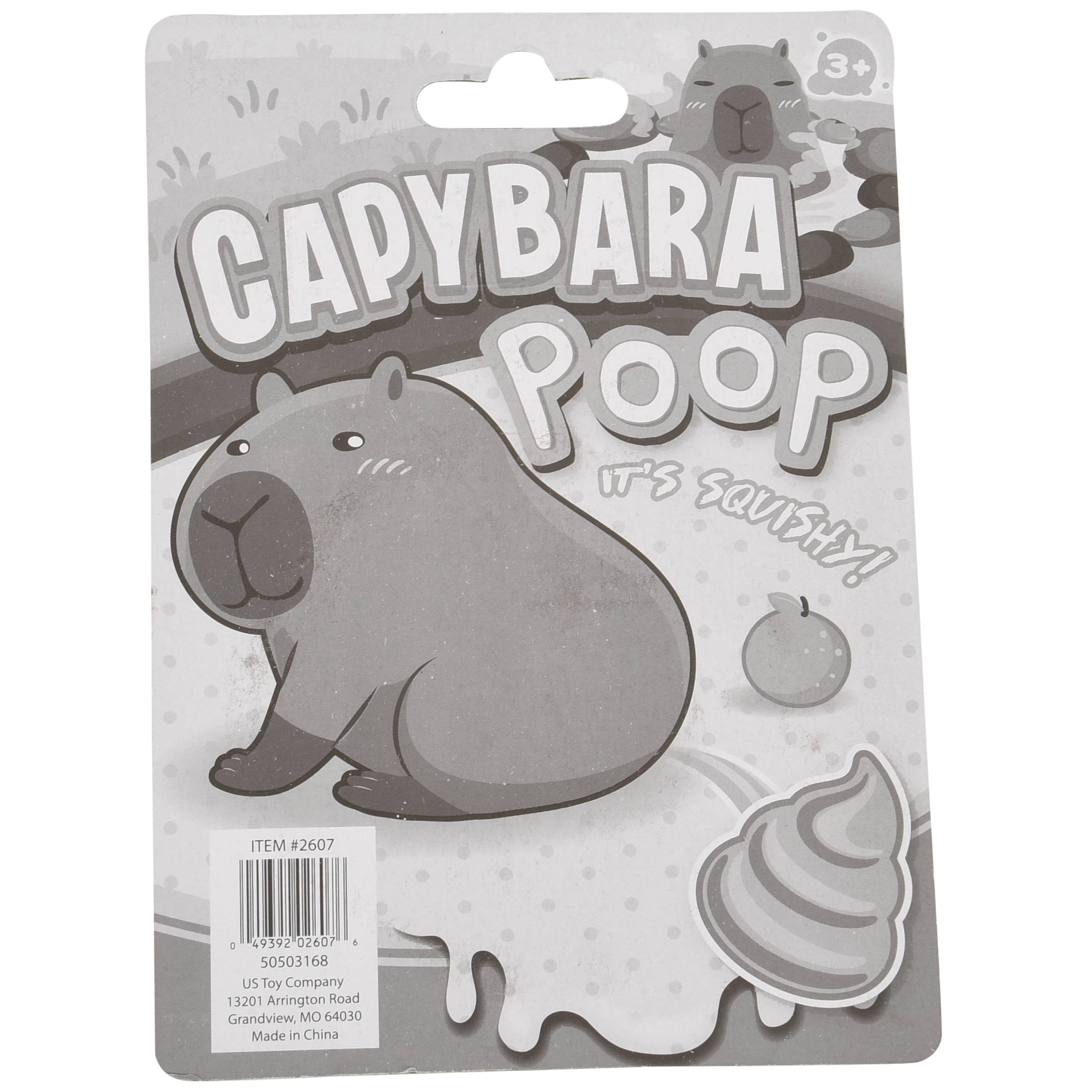 US Toy Company - Wholesale Putty/Slime - Kids - Capybara Poo Silly Putty 12-Unit Display1