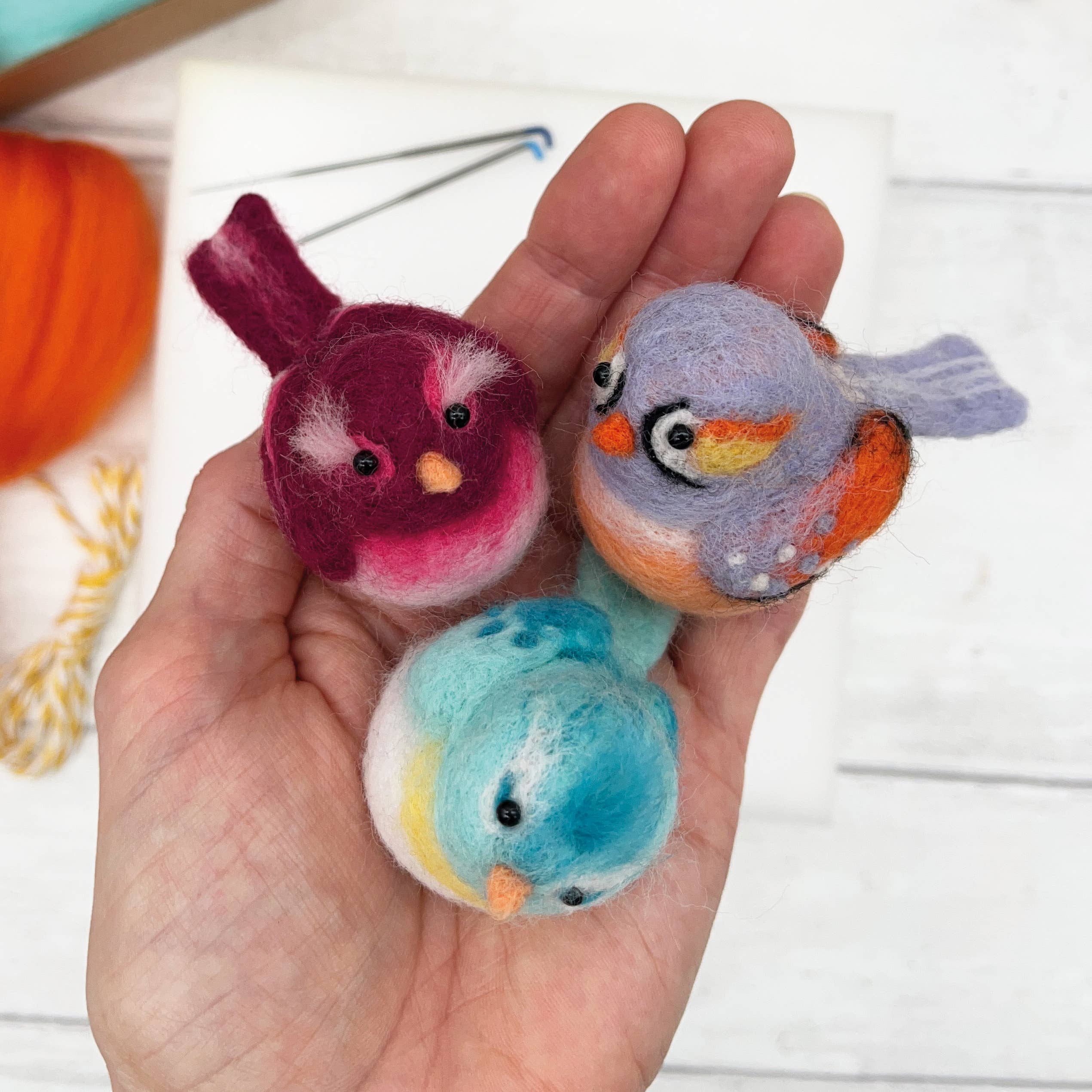 Bergin & Bath – wholesale Craft sewing kit – Needle Felting Kit, Baby Birds8