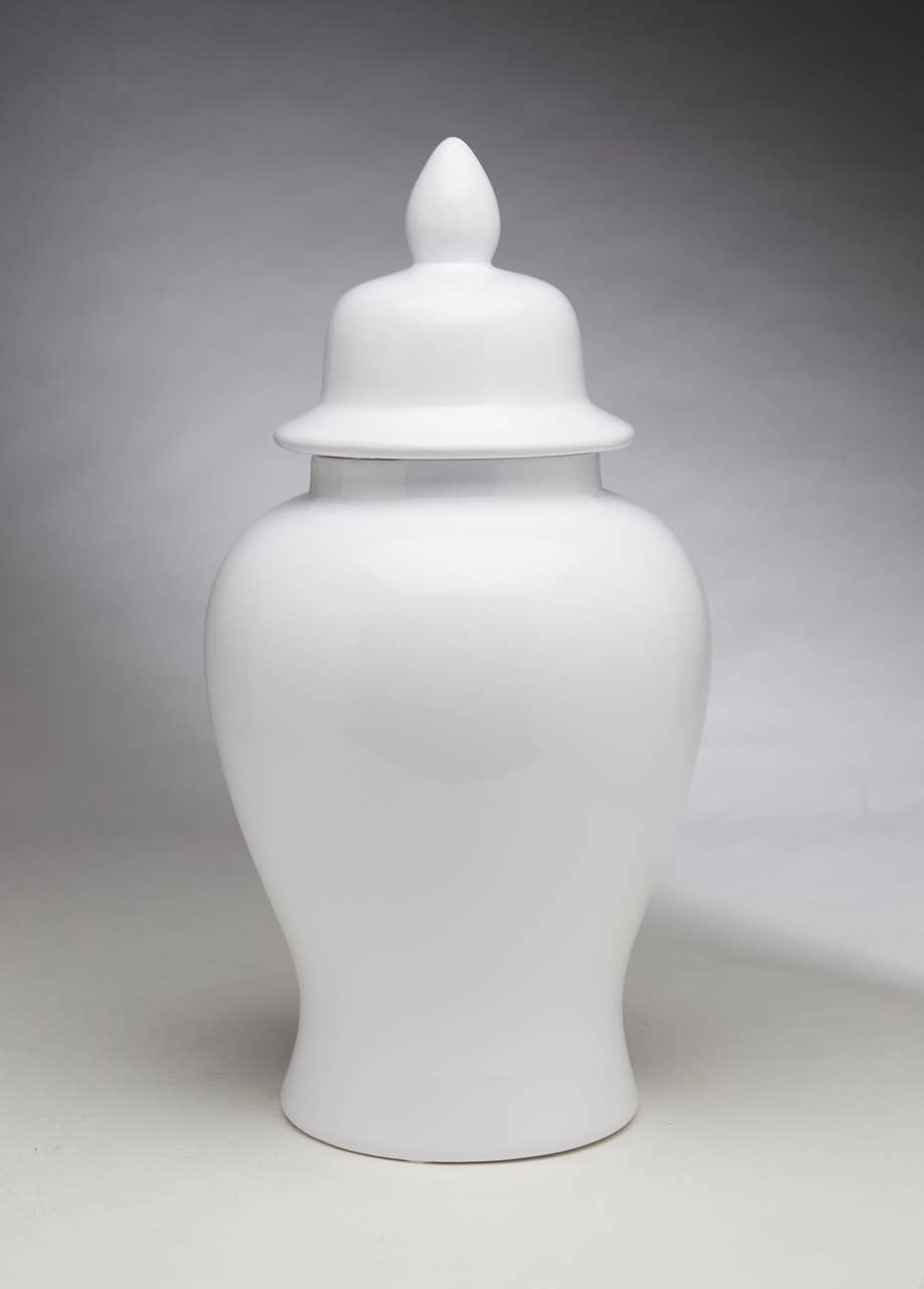 AA Importing - Wholesale Decorative Jar - 18" Ginger Jar3