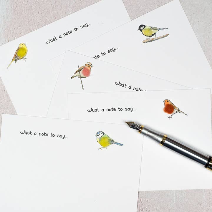Tarjetas de notas Garden Birds, caja de 10 | Acabado de lana aplicada a mano para venta al por mayor de Papersheep UK