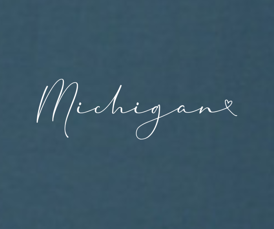 Storm Womans V-Neck: Michigan Script - S.Blue for wholesale on Faire1