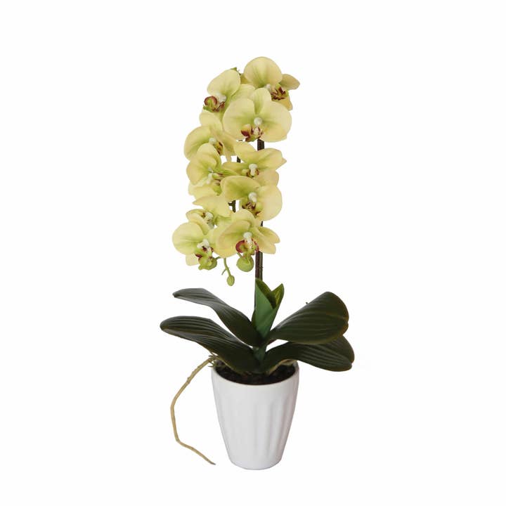 Designer Plants AU - Wholesale Artificial flowers - 40cm Butterfly Artificial Orchid Cream1