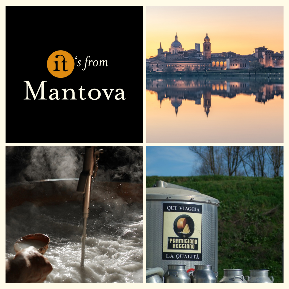 Gourm.it - Wholesale Cheese - Parmigiano Reggiano PDO. Artisan product. Italy.3