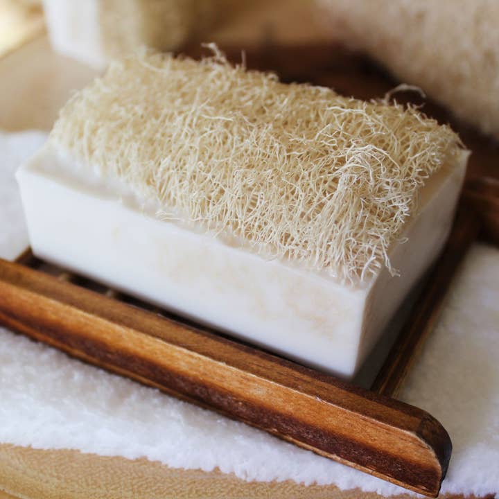 Luna Azul Co - Wholesale Bar Soap - Coconut Shea Butter Loofah Soap Bar6