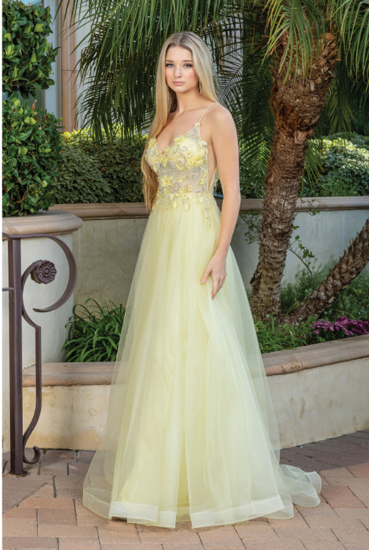 Dancing Queen Dress - Wholesale Gown - Women's - Elegant A-Line Evening Gown with Embroidered3