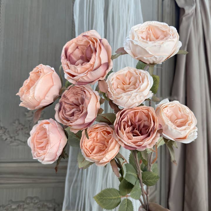 Tige de fleur d'automne Austin Rose en soie, aspect faux séché, 27 pouces et autres tendances Résultats pour rose stabilisée en vente B2B. Retours gratuits et paiement à 60 jours sur Faire sur Faire.