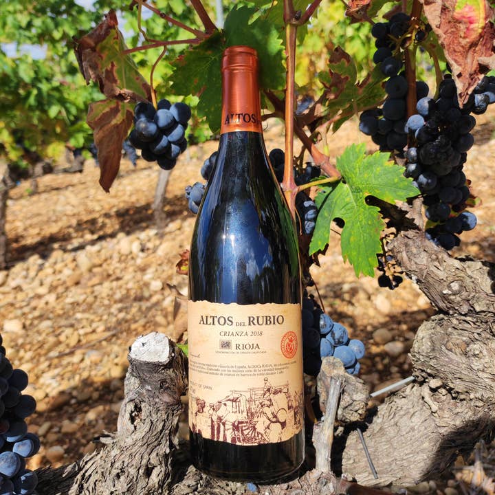 Viñedos y Bodegas Lyng - Wholesale Red Wine - D.O.Ca. Crianza red wine Rioja Altos del Rubio6