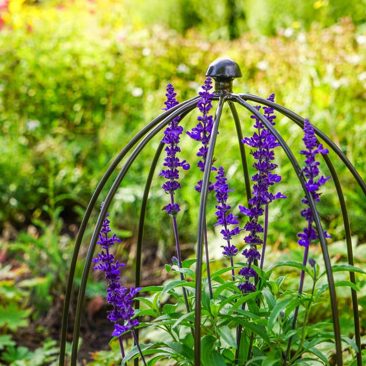 Ivyline - Wholesale Beplantingsnet/afdekking/hoes - Buitengebruik plantsteun H60 cm B36 cm9