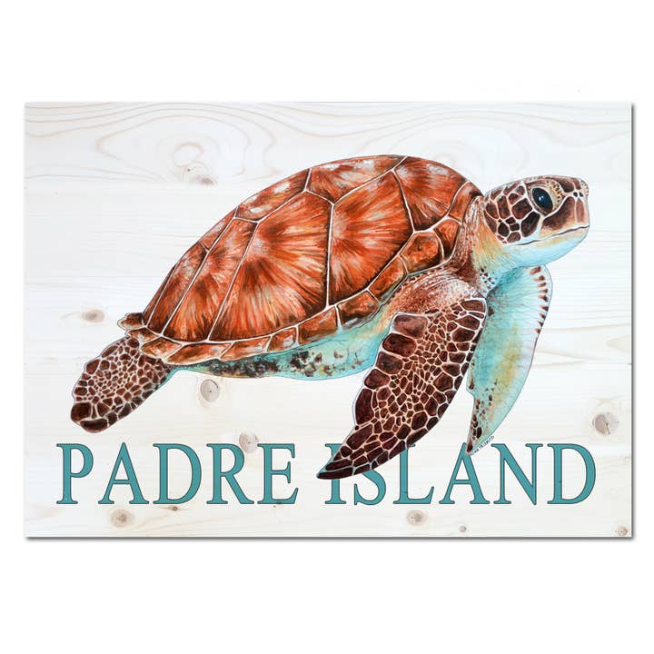 5x7 Wood Mini Art- Turtle- Custom Location for wholesale by Map Mom