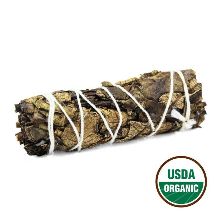 Green Tree - Wholesale Sage bundle - Black Sage 10 Cm