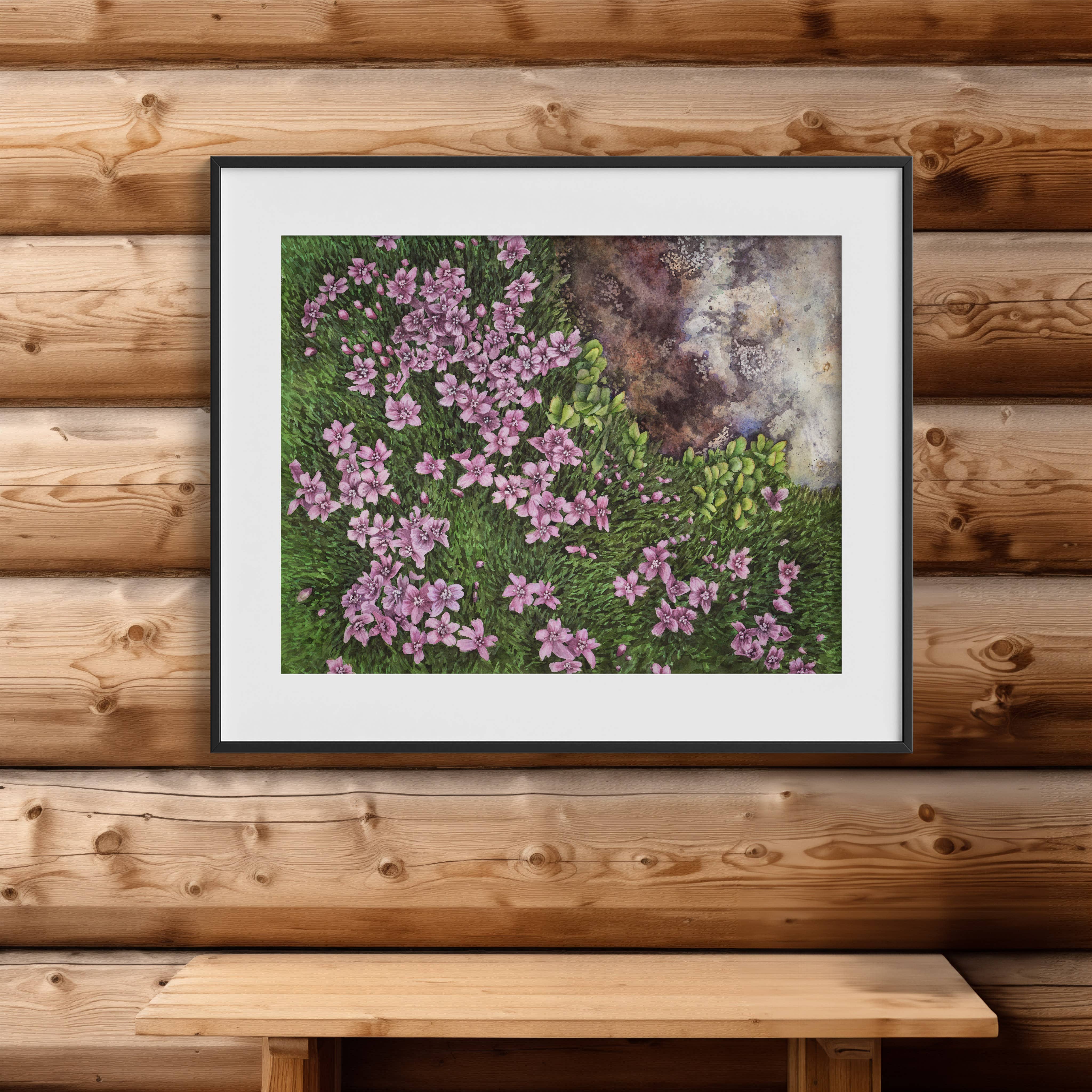 Robin Farmer Art - Wholesale Art Print - Moss Campion Fine Art Print