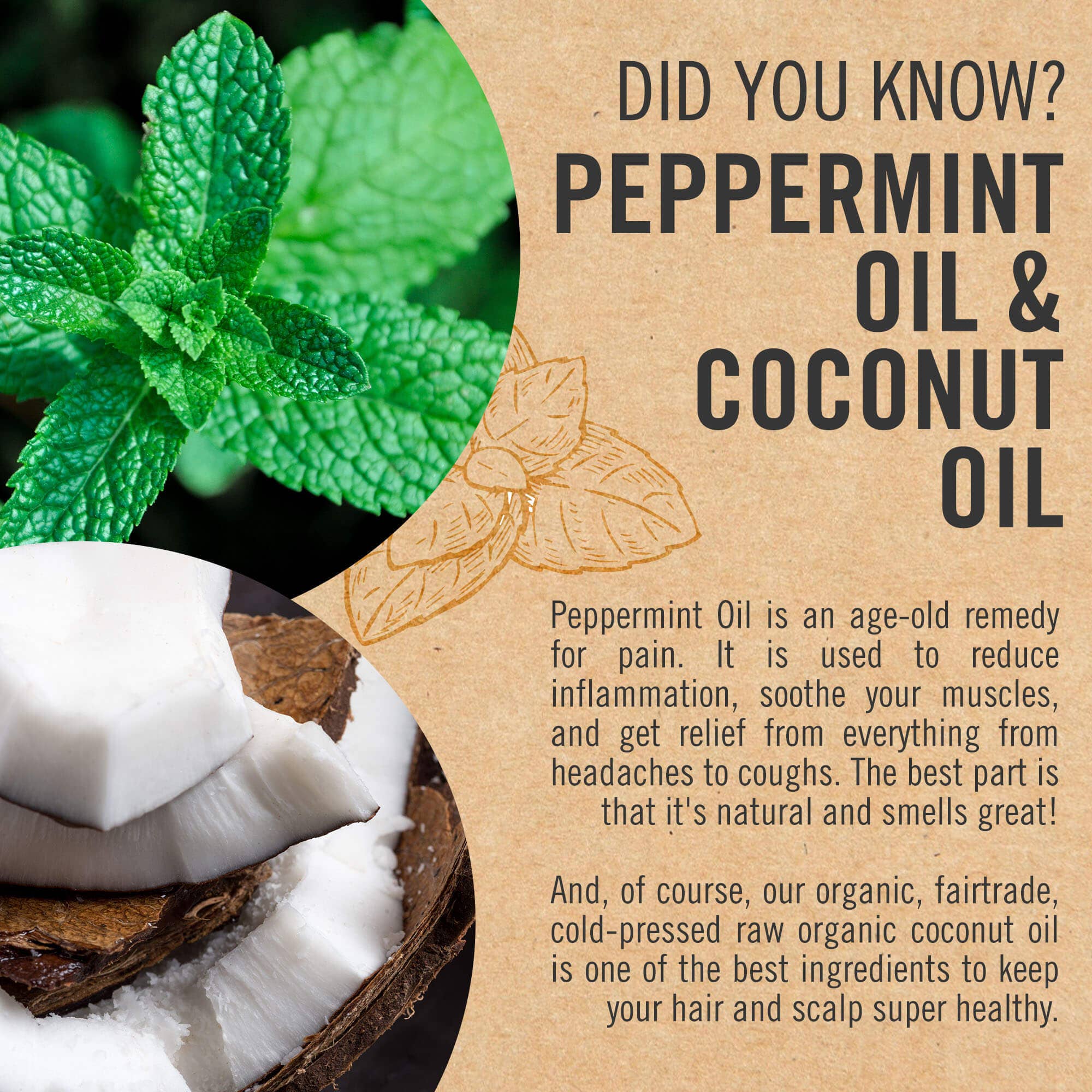 Kapuluan Coconut - Wholesale Bath/Body Oil - Kapuluan Massage Body Oil (Muscle Relief Blend)2