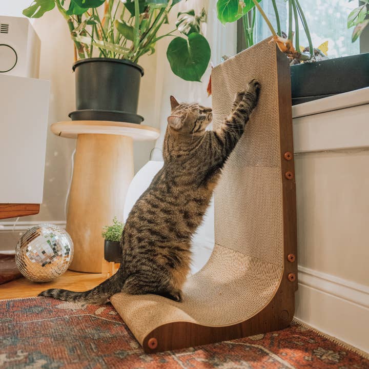 MOON-X USA, INC. - Wholesale Pet scratcher – Cat - Premium Comfort Scatcher Wall 4