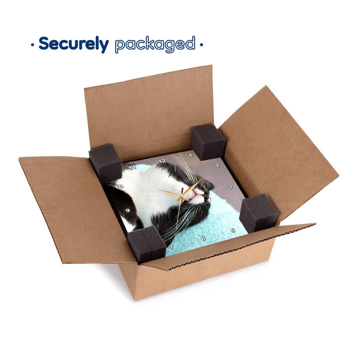 3dRose – wholesale Väggklocka – 3dRose, sovande svartvit katt, väggklocka4