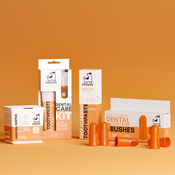 Dental Care Bundle for wholesale by DogsLife